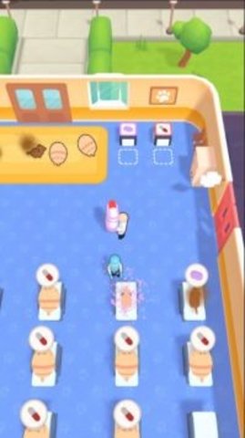 Pet Healer